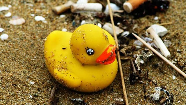 Yellow rubber duck on a beach